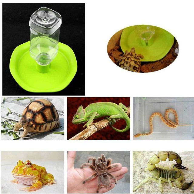 Automatic Pet Bowl Reptile Lizard Snake Food Water Feeder