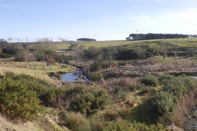 Foto 6x4 Brunton Burn Tughall unter dem Damm. c2017