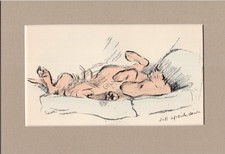 Lucy Dawson ~ Irish Setter ~ Red Setter Hand Coloured Print Genuine Vintage 1939