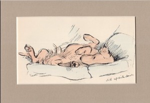 Lucy Dawson ~ Irish Setter ~ Red Setter Hand Coloured Print Genuine Vintage 1939