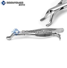 Extracting Forceps 10 H Dental Surgical Instruments