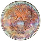 1998 American Silver Eagle Rainbow Toned Coin Interesting Color Toning