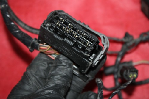 Front Left Driver Side Halogen Headlight Wiring Harness BMW OEM F25 X3 2015-2017 - Picture 7 of 12