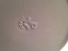 Picture 12 of 12