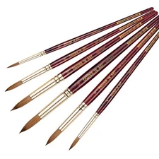Paint Brushes Watercolor Paint Brush Set with Sable Hair Different Tips Size ...