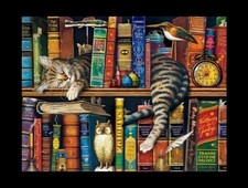 Sleeping Cat In Book Case Library Kitten Pet Love Refrigerator Fridge MAGNET
