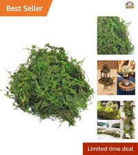 Bright Green Artificial Moss - 3.5oz for Stunning Centerpieces  Craft Projects