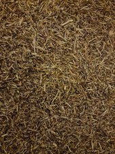 Organic Eyebright herb (Euphrasia officinalis) - Botanical Remedies - 