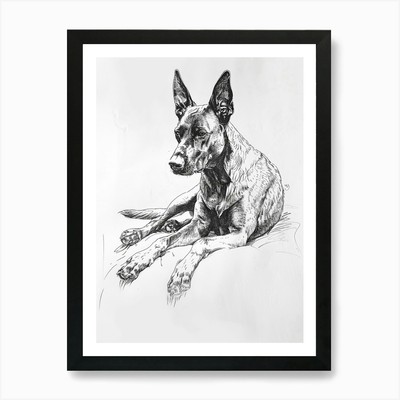 Deutscher Schäferhund Linienzeichnung Sk gerahmtes Wandbild Poster Leinwanddruck Bild