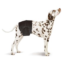 SwissPet R&uuml;denwindeln Hundewindeln R&uuml;de 30-46 cm R&uuml;denbinde Einweg Windeln S-M