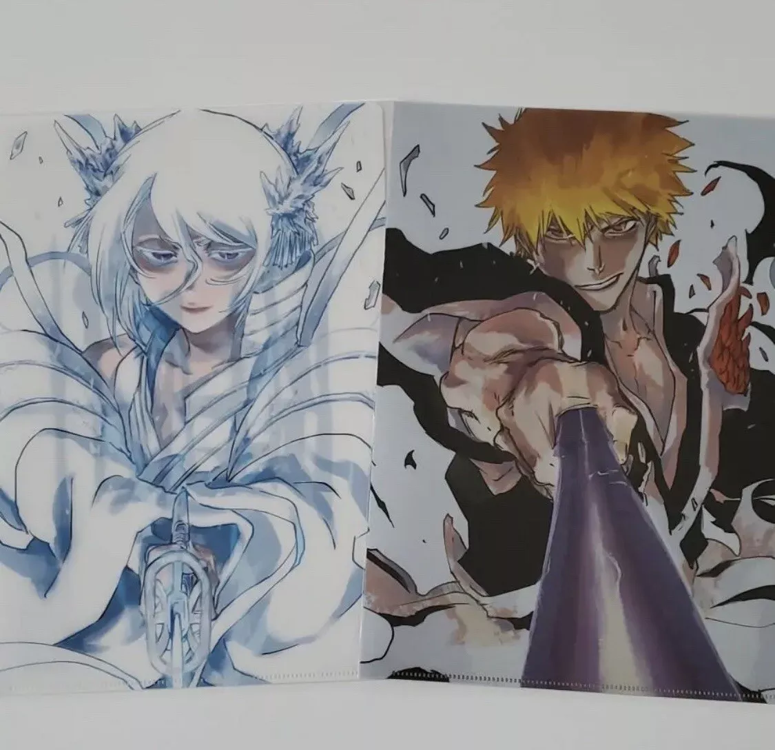 Ichigo Kurosaki Clear File from Bleach EX Osaka (Based on e-book art) : r/ bleach