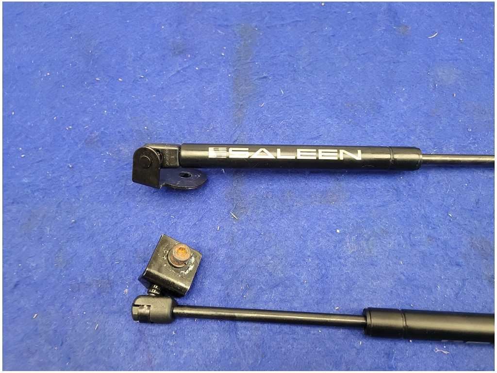 Ford GT 2015-2023 Front Left, right Engine lid hinges Pair