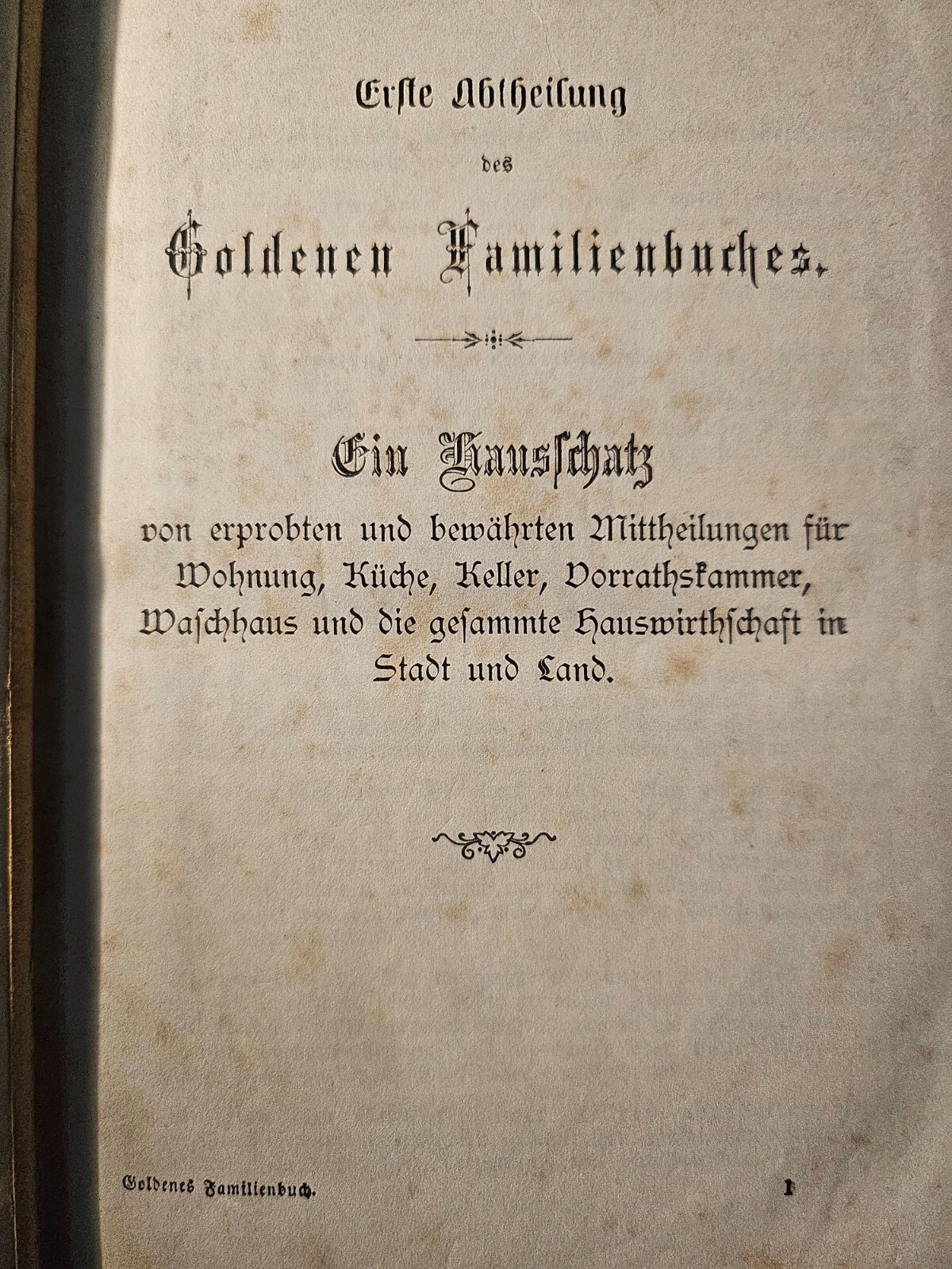 Bild 11 von 14