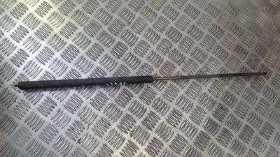  Gasdruckfeder Motorhaube  Buick Park Avenue DE405686-30