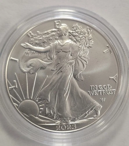 2024 W 1 ozt, 999 pure American Silver Eagle, UNCIRCULATED coin (A8V0)
