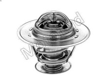 Thermostat Fiat 132