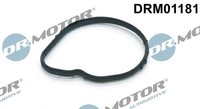 Dr.Motor Automotive DRM01181 Dichtung, Thermostat FüR Ford Ford Usa Jaguar