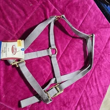 NEW Weaver Leather Basic Non-Adjustable Nylon Horse Halter GRAY 1" Average