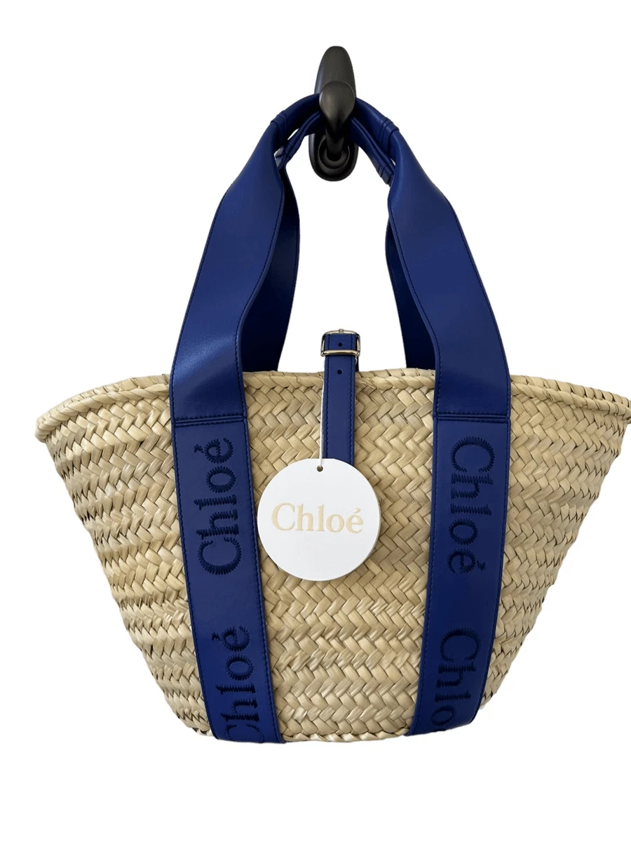 Blue Medium-Large Pack Basket