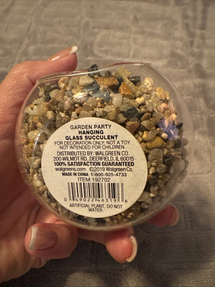 Globo suculento artificial de vidrio colgante 6" Foto 3 de 4