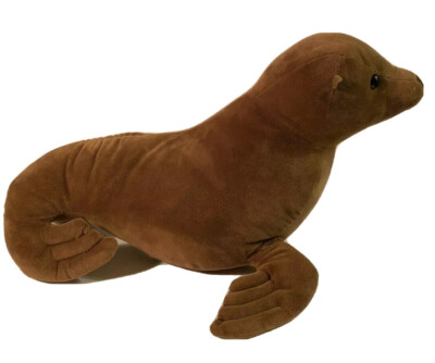 Seal Sea Lion 20