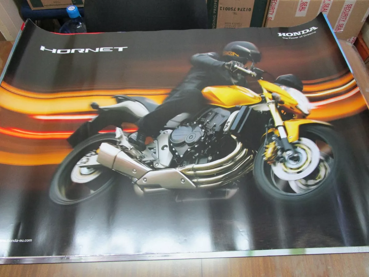 Cb600 2024