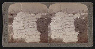 Humanitys rescure 200, 000 victims earthquake fire--great stores flour--San
