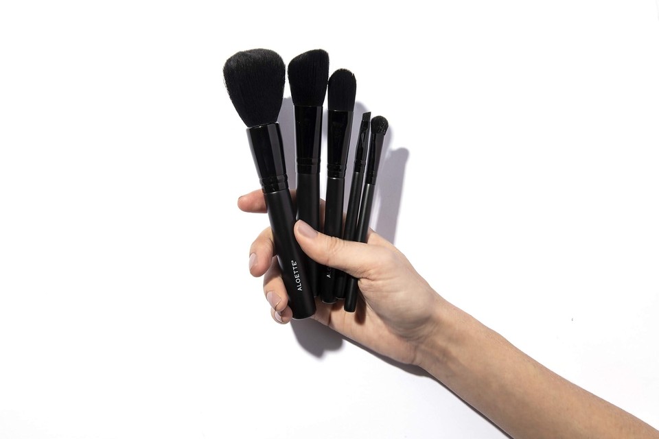 Professional 5Piece Brush Collection, Brush, Blush Brush, Foundation