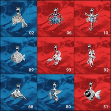 I zodiac sign I Capricorn Aries I real 925 silver pendant I