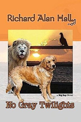 No Gray Twilights - Paperback By Richard Alan Hall - GOOD
