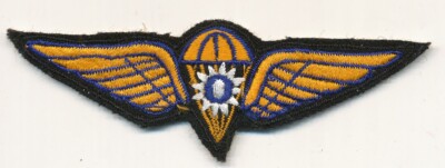 Taiwan parachute airborne jump wings brevet 1948 pattern | eBay