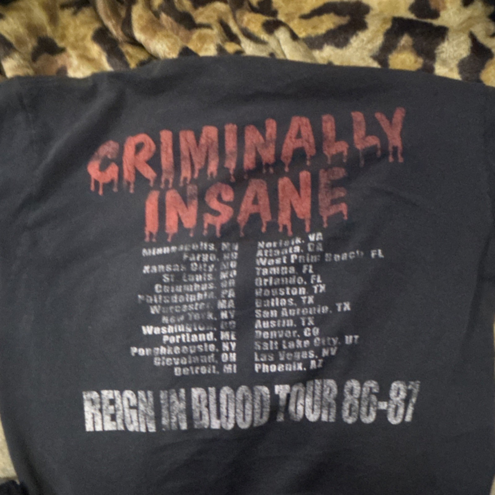 Hanes Heavyweight Graphic Tee Slayer Reign In Blood Tour 86-87 Black Cotton M