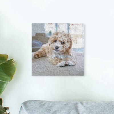 Individuell personalisierte Acrylfarbe Haustier Portrait Druck, Haustier Illustration
