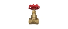 1 in. FIP x FIP Heavy Pattern Brass Threaded Gate Valve
