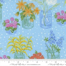 Wild Blossoms Canning Jars Mist Light Blue by Robin Pickens for Moda 1/2 Yard