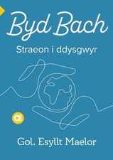 Cyfres Amdani: Byd Bach by Esyllt Maelor (Welsh) Paperback Book