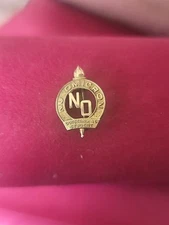 Nu Omicron Fraternity Sorority Chapter Guard Pin Gold Filled Outstanding Student