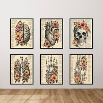 Menschliche Anatomie Wandbild Set Schädel Herz Wirbelsäule medizinische Drucke A4 A3 A2 A1 Dekor