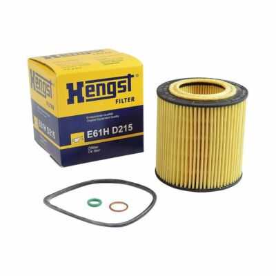 E61HD215 Hengst Oil Filter For Germany-BMW ( Replaces HU816X)