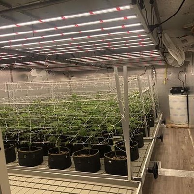 1000W Samsungled Grow Light Vollspektrum Grow Lampe Zimmerpflanzen Pflanzenlampe