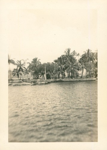  1940's Honolulu's T. Yoshiura's Hawaii photo Coconut Island closeup