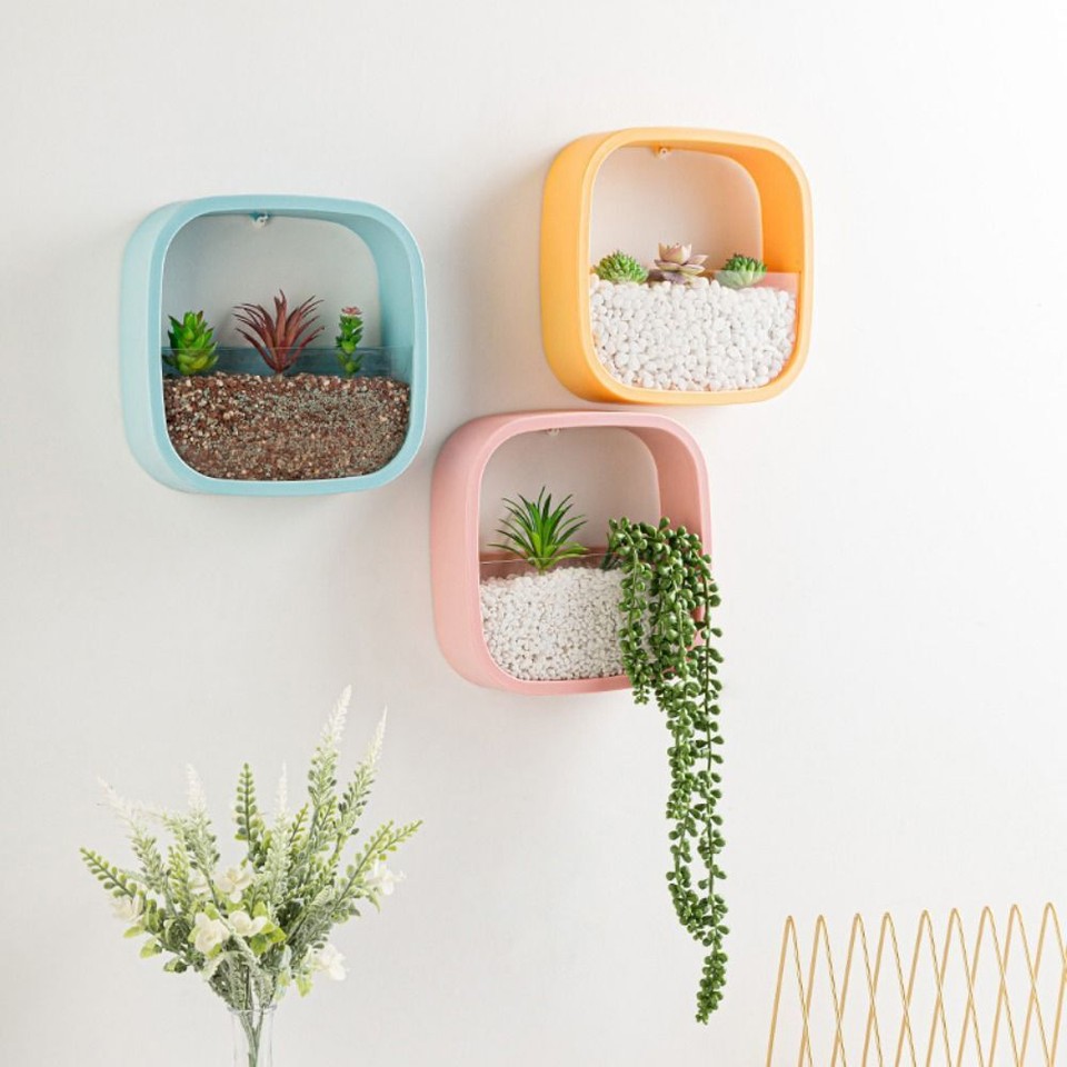 Plastic Wall Hanging Flowerpot Sqaure Succulent Planter eBay