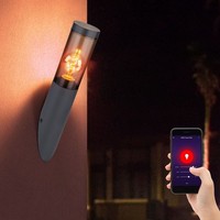 AußEnlampe Fackelleuchte Wandleuchte Smart Rgb Led Cct App Edelstahl Anthrazit