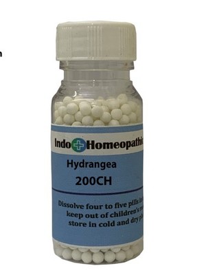 Hydrangea Arborescens in 6C, 30C, 200C, 1M Homeopathic Medicine Remedies
