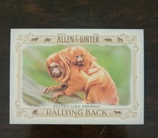2021 Topps Allen & Ginter Rallying Back Insert #RB-8 Golden Lion Tamarin