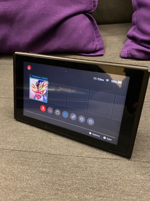 nintendo switch system only