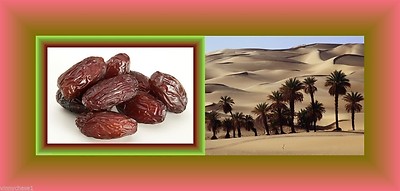 Medjool Dates Natural Tropical fruit-Phoenix dactylifera 2 LB-Dietary fiber-Iron