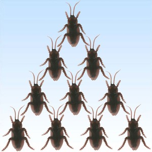 10 Kakerlaken Schaben Küchenschaben Deko zum Garnieren für Küche Essen