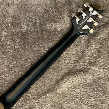 Paul Reed Smith(PRS) SE EG [Owari Komaki store]
