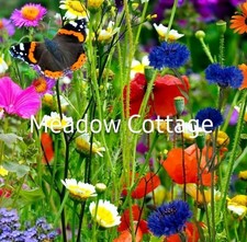 Wild Flower Seed Mix✳️BUY 2 GET 1 Free✳️Bees/Butterfly Scented 100g + FREE GIFT 99.50 per kilo